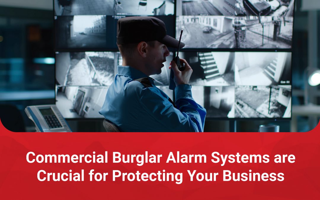 Cat Burglars and Commercial Burglar Alarm Systems