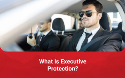 What Is Executive Protection?