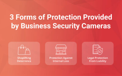 3 Forms of Protection Provided by Business Security Cameras